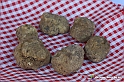 VBS_5565 - 10.ma Fiera Nazionale del Tartufo e Fiera dei Santi